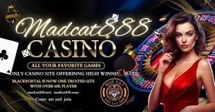 Madcat888 Casino